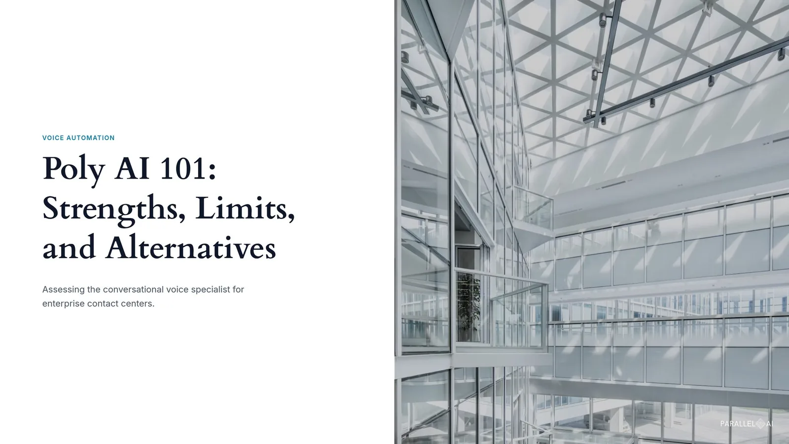 Poly AI 101: Strengths, Limits, and Alternatives
